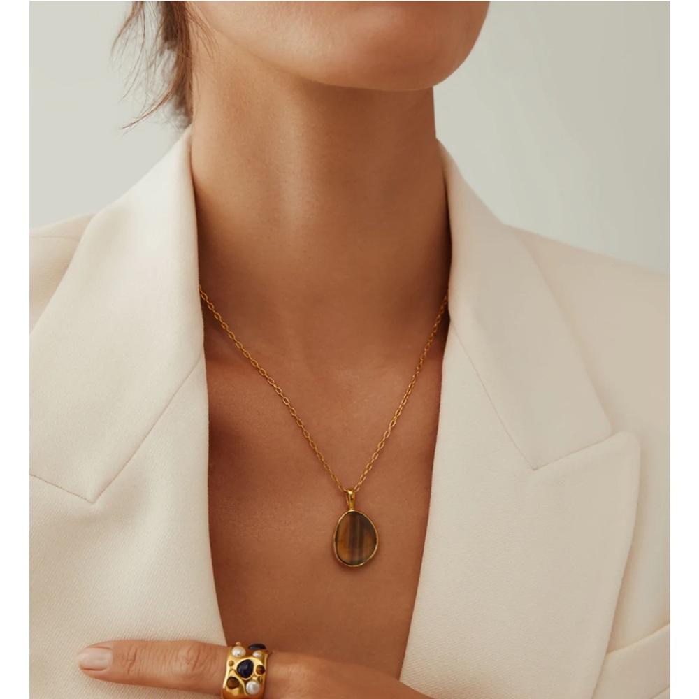 Anna Beck Medium Asymmetrical Tiger's Eye Pendant Necklace NWB